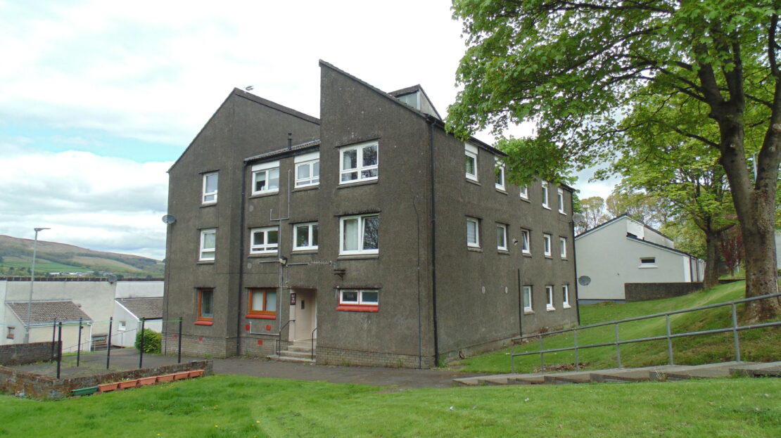 video image